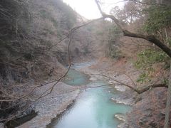 エメラルドグリーンの多摩川の水がきれい