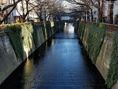 目黒川(桜並木)