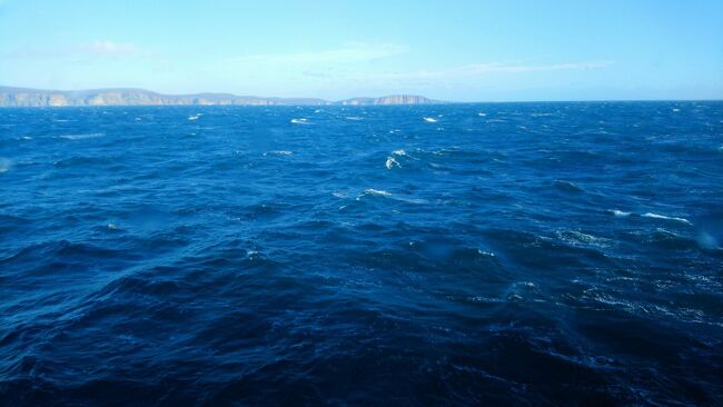 最北部の島、オークニー島への移動はフェリーで90分掛かります。外洋を航海するので、通常の運行でもかなり揺れます。今回は台風が襲ってきているので、フェリー内をまっすぐ歩くことができないくらい揺れました。<br /><br />乗船る前にも、係の人から「今日は揺れるよ」と脅されました。<br /><br />でも、大きな船で、生活上必要な路線なので、相当波が高くない限りは運行されるそうです。