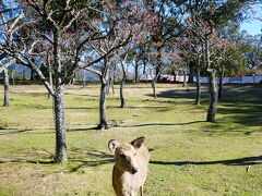 片岡梅林。