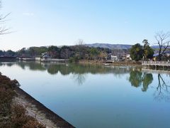 八条ケ池は、長岡天満宮境内の東側に広がる美しい池。
キリシマツツジや桜など季節の花も楽しむことができます。
