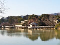 池北側のヒノキ造の水上橋は、名前のとおり水の上を歩くことができる散歩道。
気持ちの良い散策ができます。
