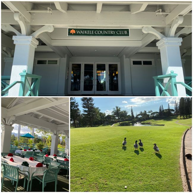 7日目は、ベルトラでワイケレゴルフコースへ＄150。アップルゴルフツアーが送迎。綺麗に整備されたコースです。