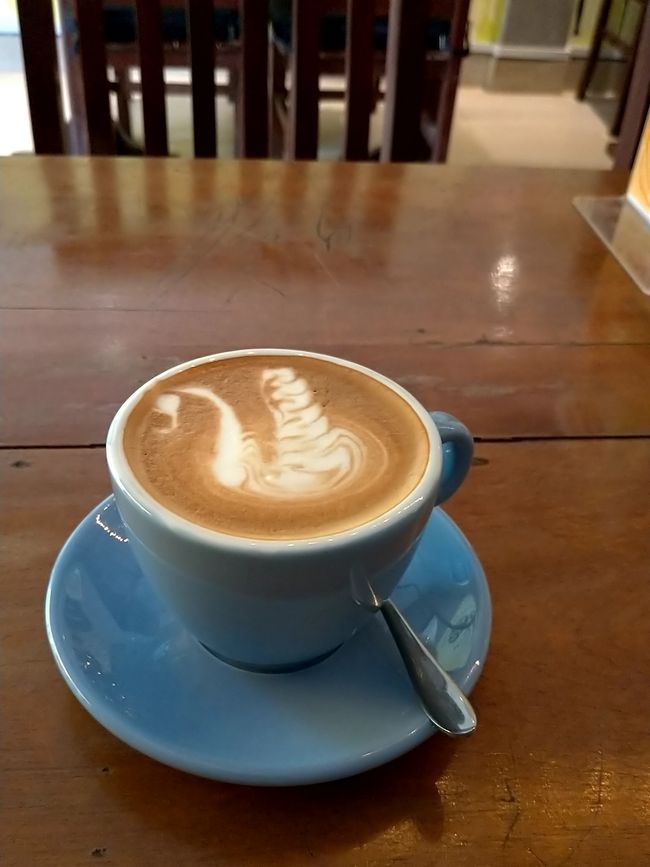 かわいらしい、白鳥の絵が。