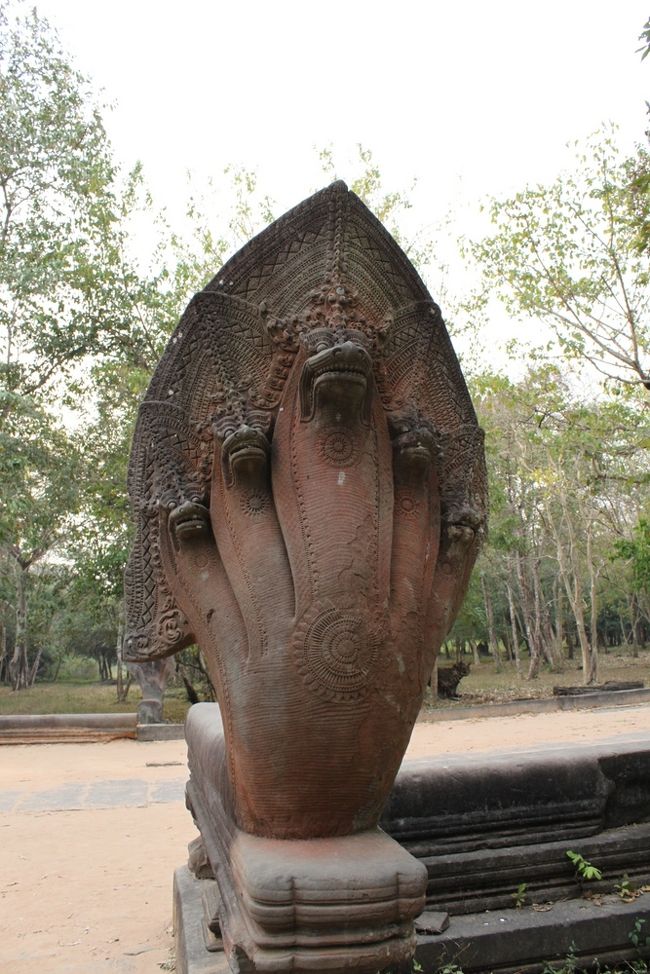 正面から見たところ。