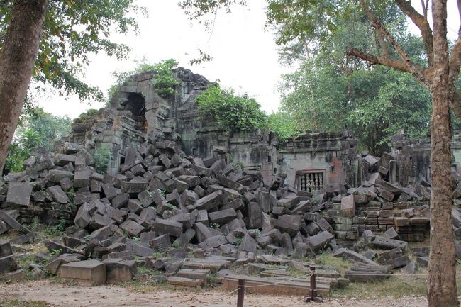 地震で崩れたのかと思いきや、ガイドさんによると木の浸食？も原因らしいです。