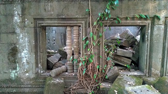 遺跡と植物のコラボ