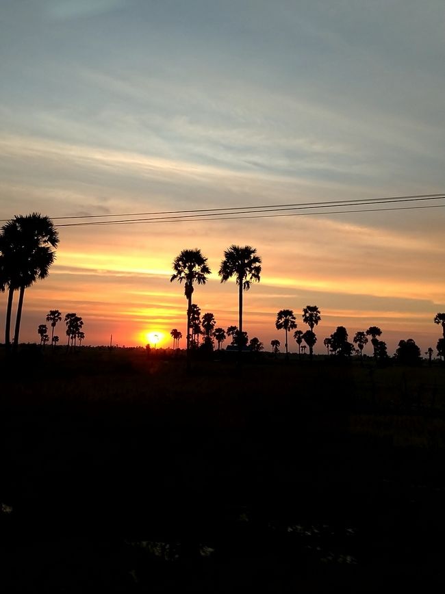 その後も平面に沈む夕日を眺めながらシェムリアップへ