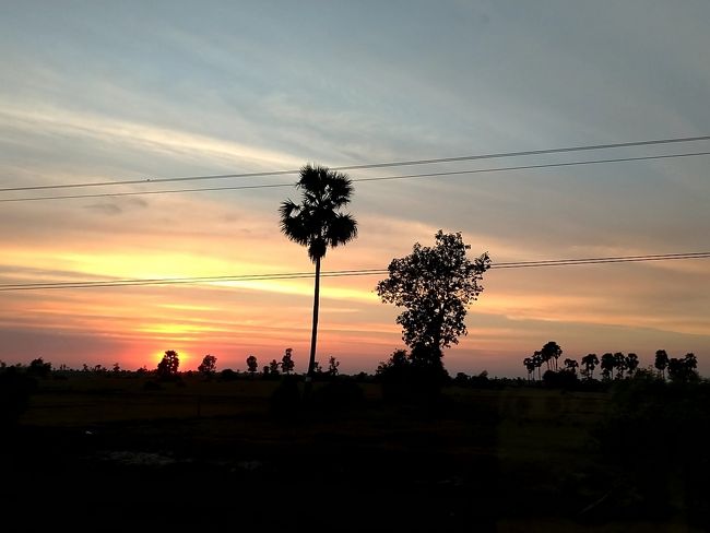 これだけ見えるとアフリカみたいだな（行ったことないけど・・・）