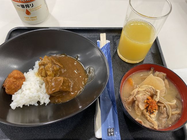 最終日は、JALラウンジで豚汁とカレーを食べ搭乗。