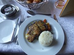昼食は、「由緒あるホテルの素敵なレストランで地中海料理」を食べました。
食後、長い道のりをカイロへと引き返します。