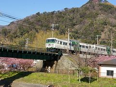 踊り子号がやってきました。