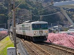 東京行きの踊り子号がやってきました。