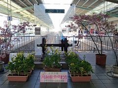 毎度おなじみ伊豆急下田。