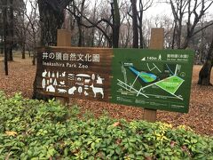 井の頭公園に着きました。