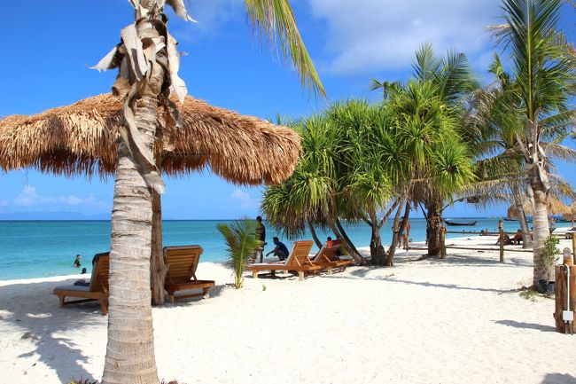 ☆２/１４（金)　<br /><br />Sunrise Beach View , Zodiac See Sun Resort @ Koh Lipe Thai<br /><br />パンダナス(タコノキ）の所にAndaman ResortとZodiacの境界の柵が<br />一応ありますが、一応って感じ。<br />手前がZodiacですが昨年まではこちら側も砂州辺りまで<br />ずっとAndaman Resortの使われていなかった敷地（ビーチ）で<br />モクマオウの大木が何本も茂り日陰が多かったので<br />他所から来て利用する人が大勢いましたが<br />さすがにZodiacになってからは追い出される形になりました。<br /><br />