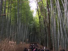 天龍寺の北門から出ると竹林を通り抜けます。