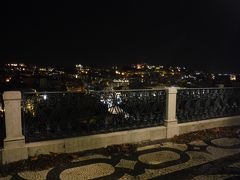 　アルカンタラ展望台は小さな公園になっており、絵葉書のような眺めを楽しみました。