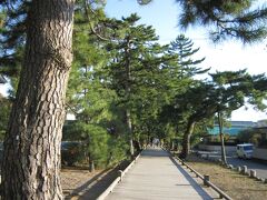 三保松原入口から御穂神社を経て神の道。この先に、みほしるべ（当時は無かったけど）、羽衣の松、海があります。