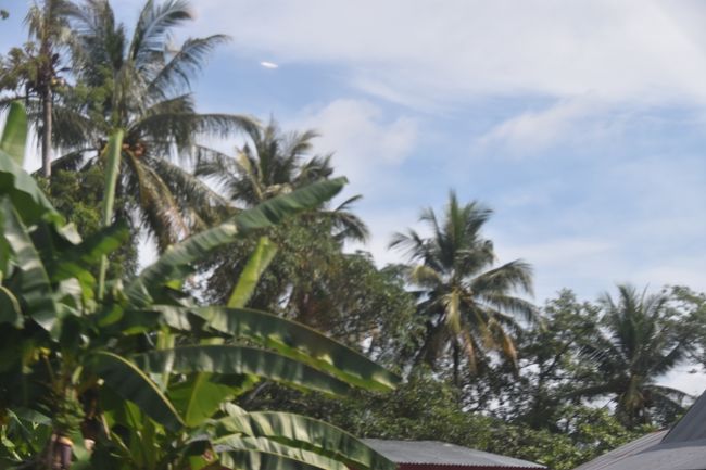 マカッサルの北東にあるバンティムルン（蝶の谷）に向かう。