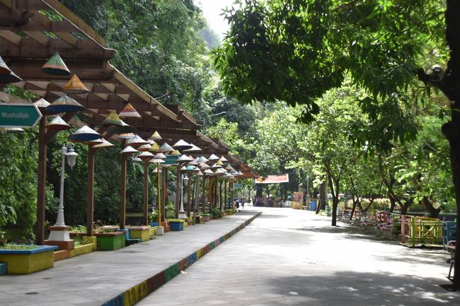 入り口から滝への取り付け道路。