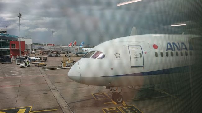 最近はさほど感じなくなってきましたが、<br />海外旅行の場合、国内とは違いシップの<br />ドアが開くと空気が違う事を感じます。