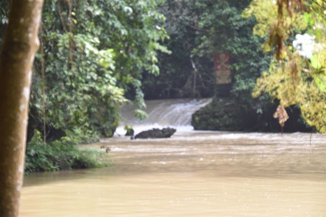 滝の上は川幅が広がり、静かの淀みになっている。