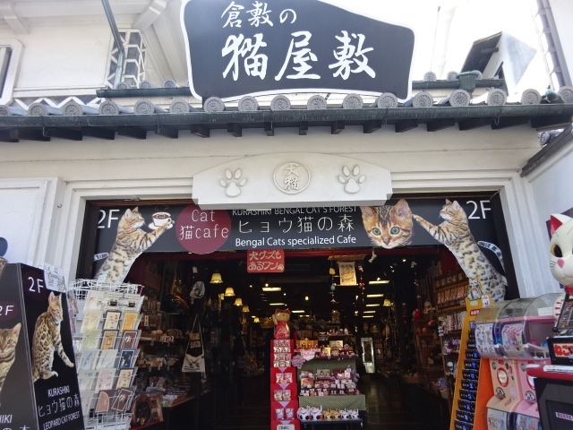 倉敷猫屋敷や猫店長や猫カフェの街倉敷 倉敷 岡山県 の旅行記 ブログ By 三毛猫美花さん フォートラベル