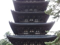 五重塔　国宝
1426年室町時代中期の再建

光明皇后（藤原不比等の娘）の発願により730年に建立されましたが、5回の焼失再建を繰り返しています。
高さ50.1ｍ、東寺の五重塔に次ぐ高さです。
