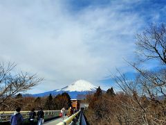 前日のうちに行きたい店はチェックしておいて、アプリもダウンロードしておいて、準備は万全だったと思います。

行きたかったショップは一応全部行けました、が、あまり収穫はなく不作でした・・・。

おかしいなー、セール中だったのになー。

ガッツリ買い物するつもりでしたが、結局、バナナ・リパブリックとL.L.Beanで買っただけでした・・。

普段は外国人、とくに中国人が多いらしいですが、今回のコロナウイルスの影響で、ほぼ日本人でした。

