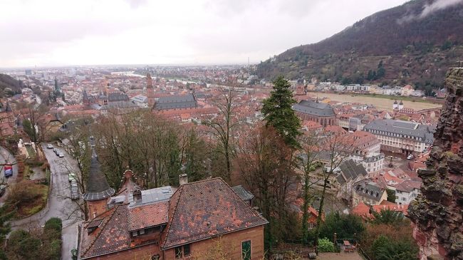 遠くの方の平野まで景色が開けてます。