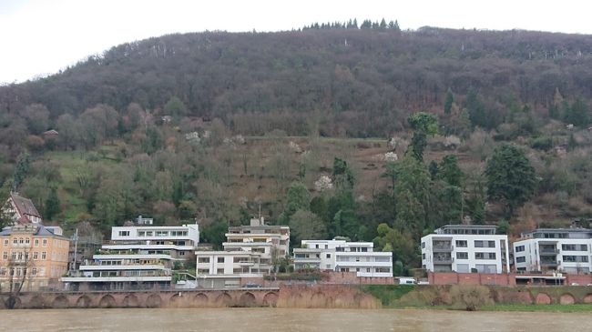 哲学者の道<br /><br />山の中腹あたりに見える横一線のラインが哲学者の道