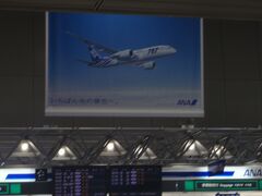 諸事情により、旅のスタートは吹雪の札幌。当時まだ珍しかったB787を選んだけれど、調整が間に合わず古い機体に。