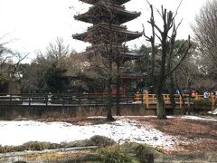 ２０１８．２．２
旧寛永寺の五重塔が動物園の中に建っています。
園内には雪が残っていました。

