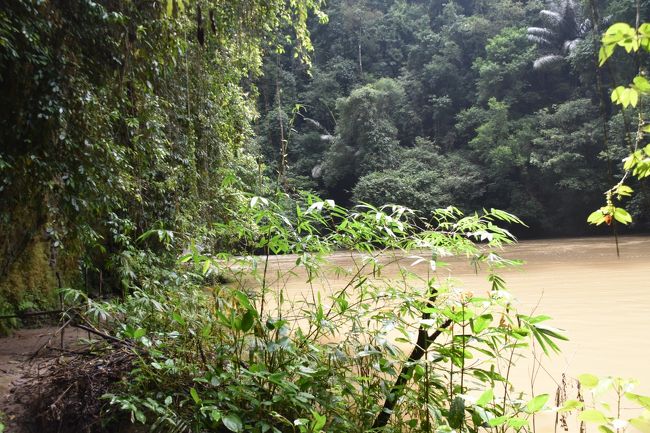 インドネシア現在雨季のため水量は多いが水は濁っている。