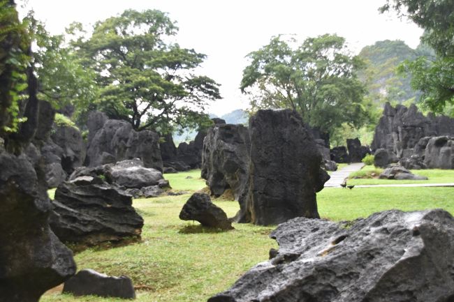 多数の奇岩がある。秋吉台と同様のカルスト台地か？