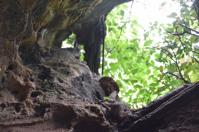 横の窓のような穴。