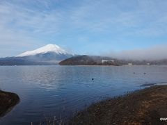 霧に包まれた平野の浜で、10分ほどウロウロしている内に山中湖の霧が晴れ富士山一望。
