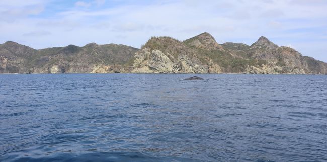 小笠原の旅 小笠原観光 有 の1日クルーズ 2 兄島瀬戸海中公園と兄島 弟島海域をめぐります 父島 東京 の旅行記 ブログ By Yamajiさん フォートラベル 小笠原の旅 小笠原観光 有 の1日クルーズ 2 兄島瀬戸海中公園と兄島 弟島海域をめぐります 父島 東京 の旅行記 ブログ By Yamajiさん フォートラベル
