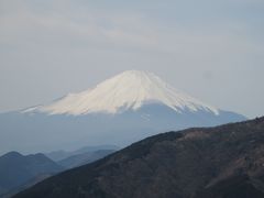 行けるところまで行ったらいいと、あまり肩ひじを張らずに登り続けることしました。富士見台に到着したのは、阿夫利神社下社から50分ほど登ったころ。思いのほか、富士山がきれいに見えて、勇気づけられます。