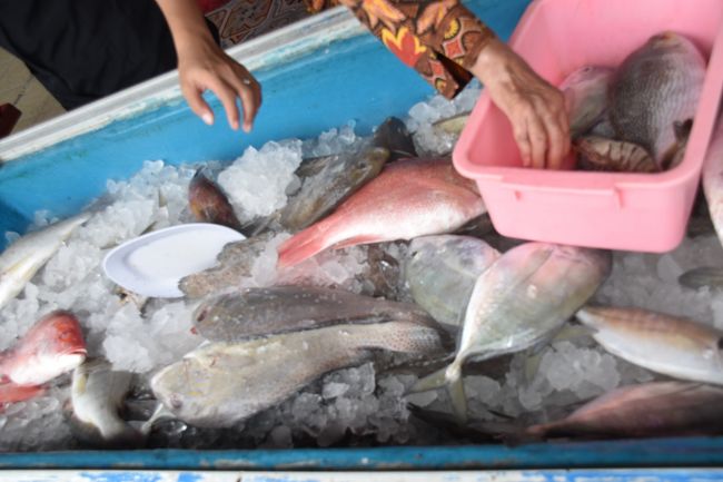 マロスは海沿いにあるので魚料理が豊富。魚を店先で選び焼いてもらう。タイやオキアジ、マナガツオのような魚が見られた。