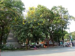 初日はプノンペン市内観光。

東南アジアらしい大木。
