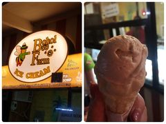 お決まりのアイスクリーム！！！
『Bohol Bee Farm』のアイスクリーム

ここでは普段食べないアイスを注文する
今回もドリアン！60ペソ
旦那にはすごく不評だった。

しまった…ピーナツキッス味があったんだ
次回はそれにします。