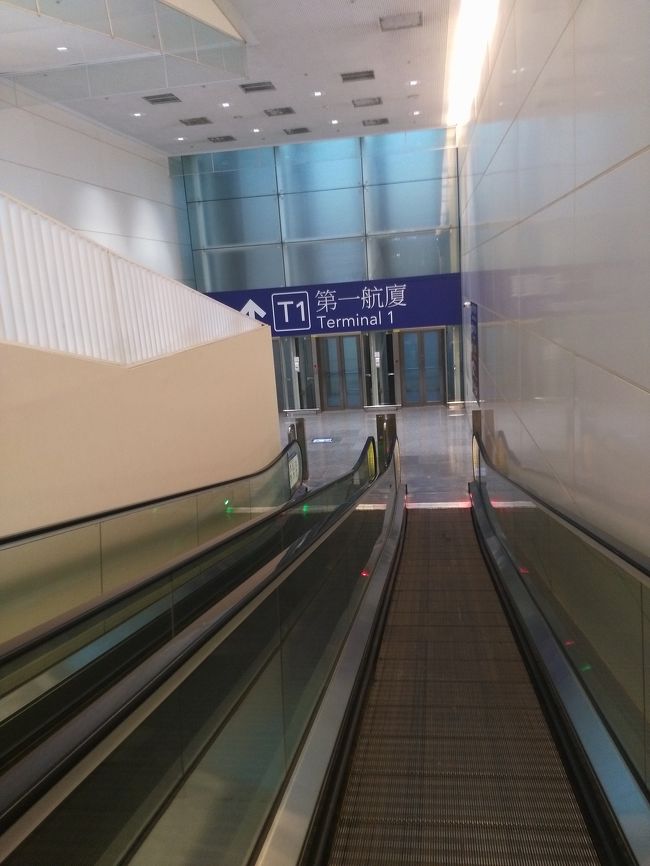 桃園空港もすいてまーす。<br />宿泊ホテルの電話番号の記入を確認されました…今まではそんな事なかったね