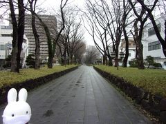 神社へ行く道にはこのような参道があります。