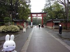 氷川神社に到着です。
大宮の住宅街の風景からガラリと変わります。