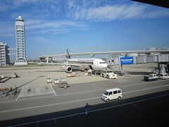 関空からシンガポール経由でパースへ。初めての行程ではないし、慣れたもんです。