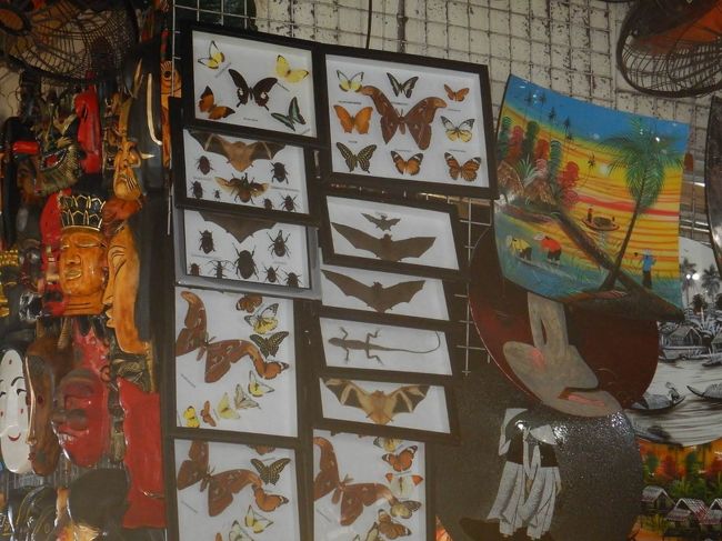 東南アジアらしい蝶とか蝙蝠（！）とかの標本<br /><br /><br />・・・まあちょっと蝙蝠の標本は日本に持ち帰ると検疫に引っ掛かりそうですね