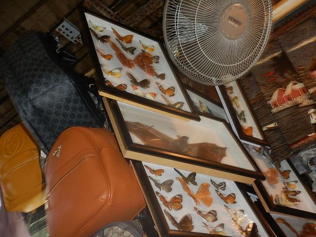 うーん、蝙蝠の標本とかどんな人が買って飾ってるんだろう・・・