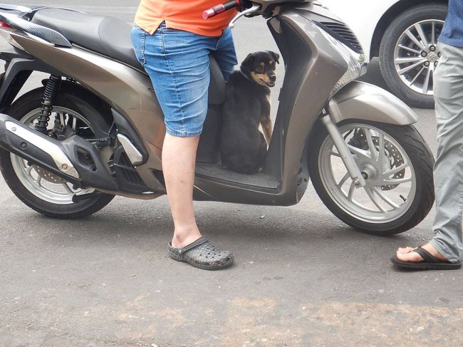 「えへっ」<br /><br />だめだかわいい・・・